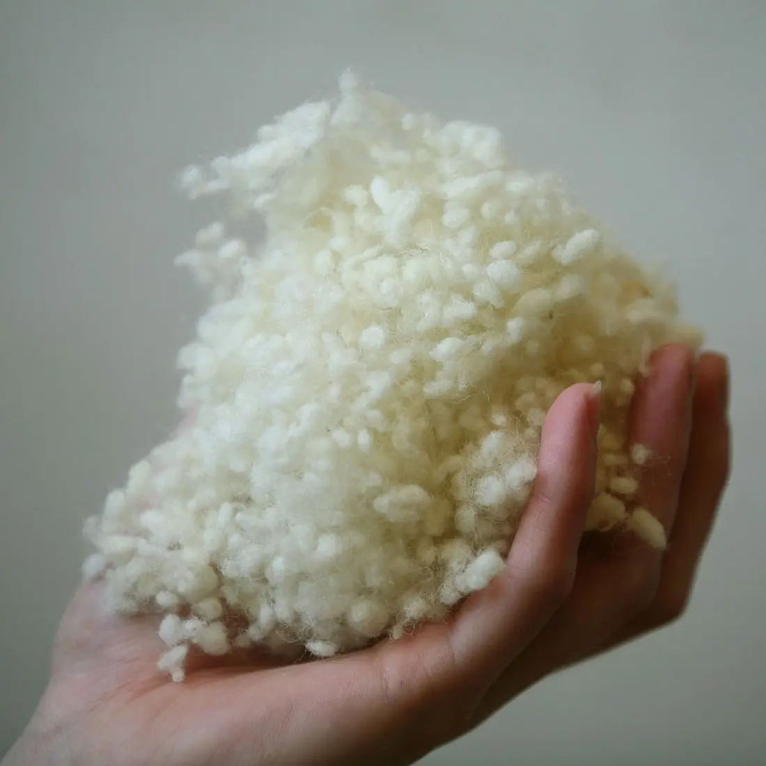 Eine geöffnete Hand hält ein Häufchen aus Wollkügelchen